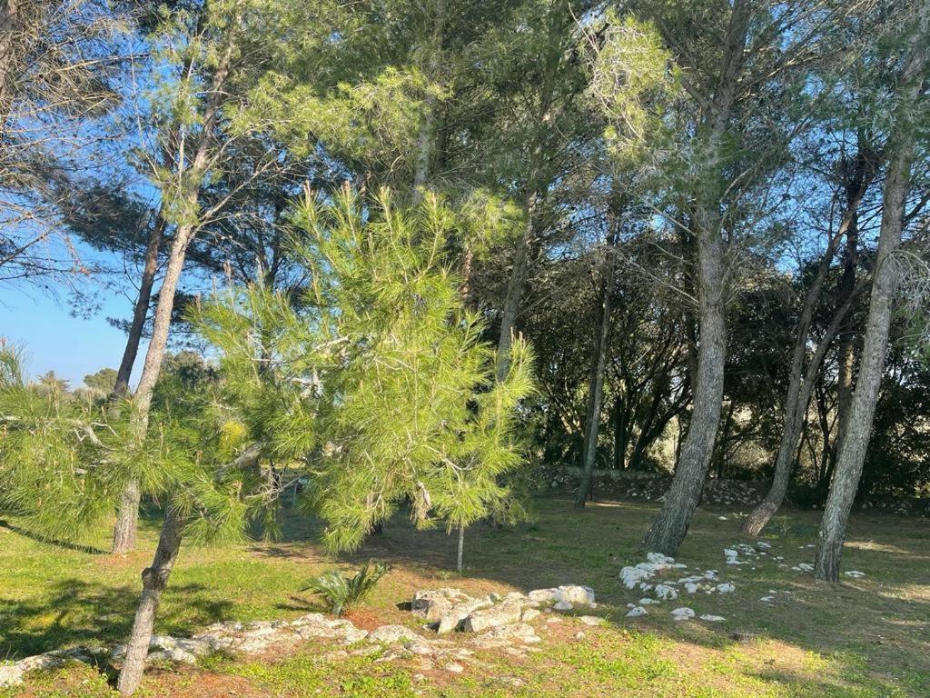 Da Ksenia Hotel Ceglie Messapica Bagian luar foto