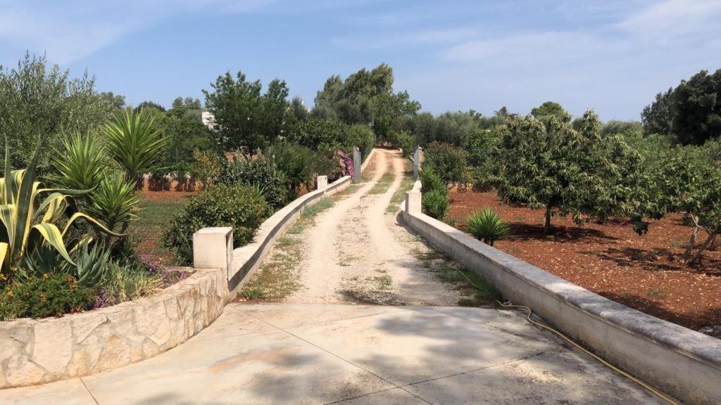 Da Ksenia Hotel Ceglie Messapica Bagian luar foto