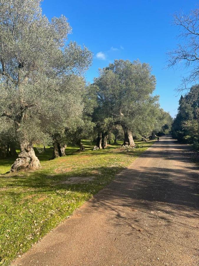 Da Ksenia Hotel Ceglie Messapica Bagian luar foto