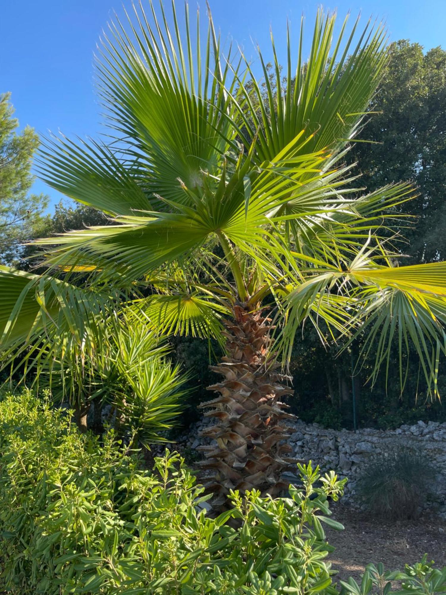 Da Ksenia Hotel Ceglie Messapica Bagian luar foto